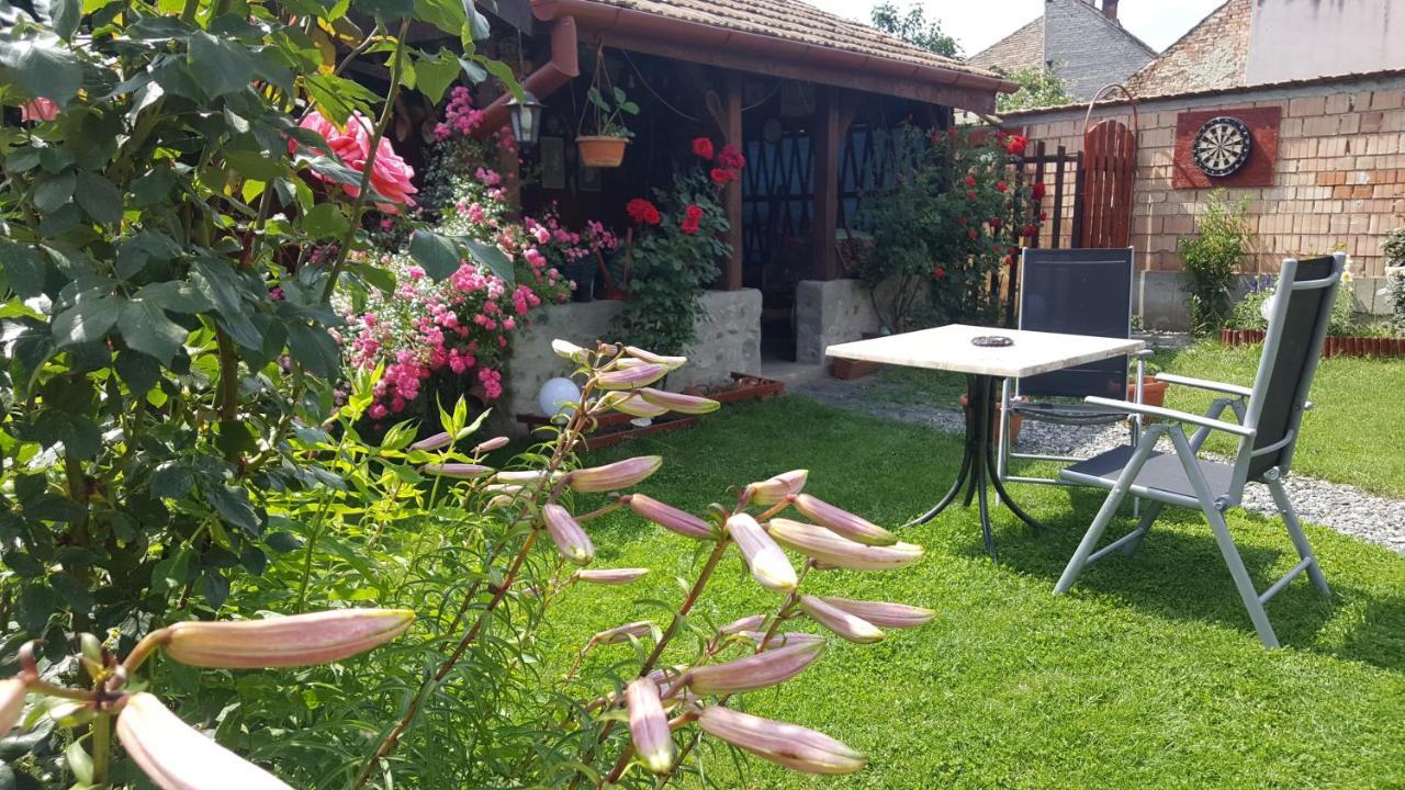 Pension Ela Sibiu Exterior foto
