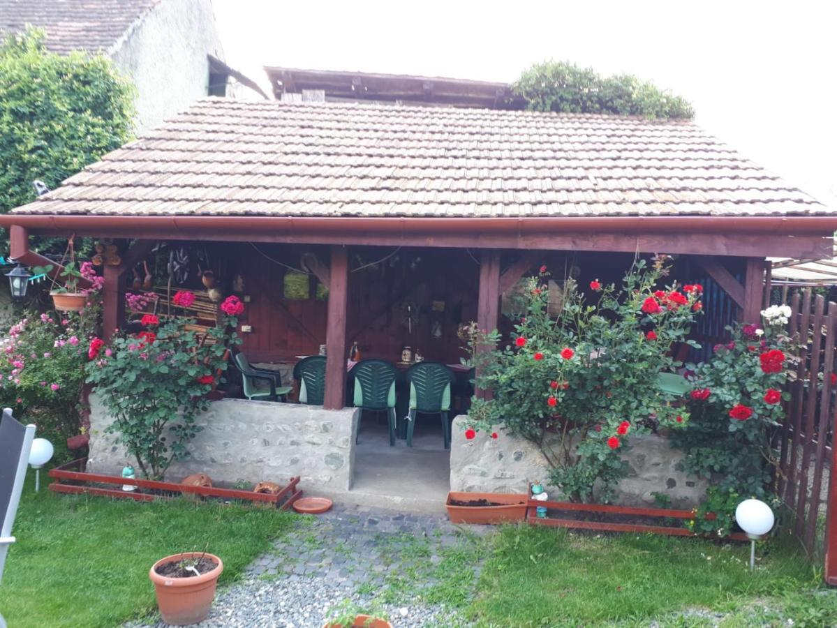 Pension Ela Sibiu Exterior foto